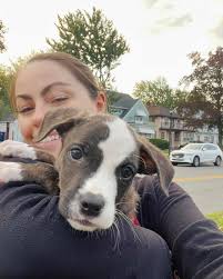 When I saw my redhead doing his impersonation of roadkill in my driveway, I  thought, "Hey, what a cool photo," provided I took it at Ghillie's level,  of course. So, flat on