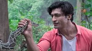 Junglee And Notebook Movie Review One Has Amazing Actions Other Has Strong Performance In fact, it was available for.