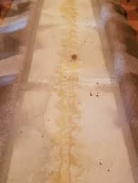 The purpose of the newspaper is to avoid having the glue stick to the irons metal face as it melts. Removing Carpet Glue Before Acid Staining Premier Veneers