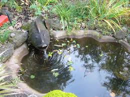 Taman itu kan hitungannya elemen kayu, kalau kolam itu hitungannya elemen air, ujar rendy saat dihubungi tim rumah123 (26/3). Kolam Ikan Dalam Rumah Dilihat Dari Sudut Pandang Arsitektur Ternakpedia