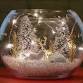 Adult Crafts: Winter Terrariums
