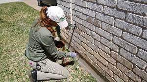 If you see a pest problem contact our highly trained exterminators pest control in austin tx: Organic Pest Control Austin Chem Free Pest Lawn