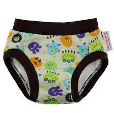 Cloth Trainers Blueberry Cloth Diapers Hidden Potty