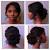 Updos For Black Hair 2017