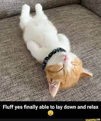 Pin On Cute Animals