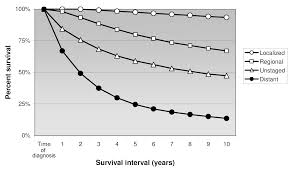 Proefschrift Anieta_01.qxd