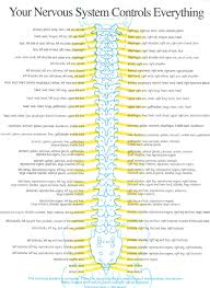 Westside Chiropractic Pc Dr Jane Fish Chiropractor In Marietta Ga 30064 Spine Health Medical Facts Medical Knowledge