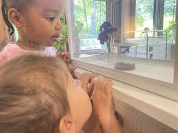 Fraser Woods Montessori School