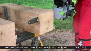 See full list on thebeastpro.com What Are The Best Battery Powered Lawn Tools