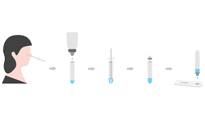 Antigen tests usually provide results diagnosing an active coronavirus infection faster than molecular tests, but antigen. Clinitest Rapid Covid 19 Antigen Test