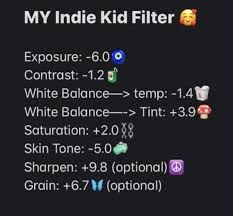 Indie Kid Filter In 2020 Photo Editing Vsco Best Vsco Filters Vsco Filter