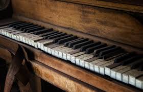 We called up a few piano tuning companies and independent. What To Look For In A Keyboard Or Digital Piano The Family Music Store