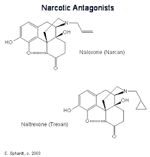 Narcotic Analgesic Drugs Chemistry Libretexts