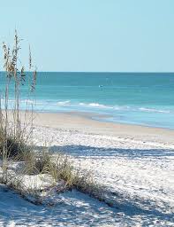 Obituary information for Joyce Elaine Cook