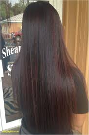 Fashion Light Chestnut Brown Hair Color Chart The Best