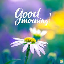 We did not find results for: 79 Good Morning Images With Flowers Have A Beautiful Day