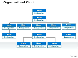 organizational structure flow charts