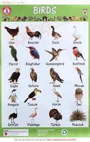 Pin On 314 Infographic Effortless English