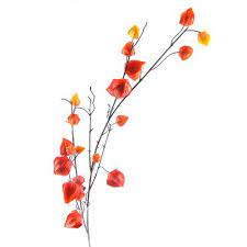 Chinese Lantern Spray Set Of 12 The Seasonal Aisle Chinese Lanterns Heather Plant Artificial Peonies