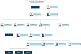 New Hierarchy Structure Template Professional Organizational