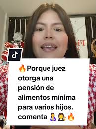 Razones para la Pensión de Alimentos Mínima