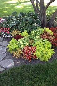 shade garden 9 cheap landscaping ideas backyard landscaping designs front yard landscaping
