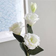 They are universal symbols of peace, love, and beauty that draw people in with. Plastic 4 Eustoma Flowers High End Artificial Silk Flowers Dried Wedding Bouquet Decoration Buy From 2 On Joom E Commerce Platform