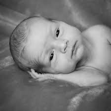 TOP 10 BEST Event Photography in Craftsbury, VT