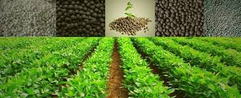 fertilizers ile ilgili görsel sonucu