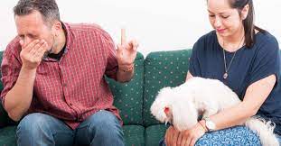 Maybe you would like to learn more about one of these? Dog Allergies Symptoms Home Remedies And Treatment