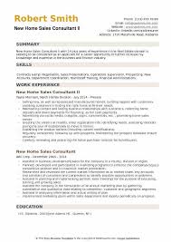 new home sales consultant resume