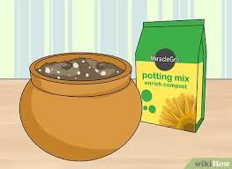112m consumers helped this year. How To Use Miracle Gro 10 Steps With Pictures Wikihow
