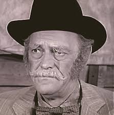 Wagon Train" The Levi Hale Story (TV Episode 1962)