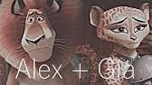 And stickers with our free photo editor to create unique alex e gia images, original icons and custom alex e gia pictures and display your artistic talents. Madagascar 3 Never Let You Go Alex Gia Y Vitaly Oficial Youtube
