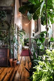 Wonderplants Celebrates Plant Focused Interior Design Rue Houseplants Indoor My Scandinavian Home Scandinavian Home