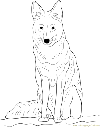Free printable coyote coloring pages for kids source : Coyote Sitting Coloring Page For Kids Free Coyote Printable Coloring Pages Online For Kids Coloringpages101 Com Coloring Pages For Kids
