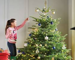 There are realistic faux trees that could pass for real plants, as well as frosted trees that look like they have snow on them. Real Christmas Trees Aldi Uk