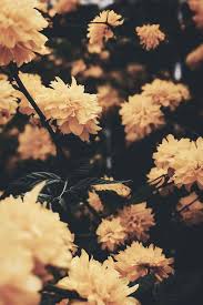 Aesthetic Black And Yellow Desktop Wallpaper Aesthetic Wallpaper Aesthetic Wallpaper Aesthetic Wallpapers Ipad 4k Aesthetic Wallpaper Aes In 2020 Hipster Wallpaper Iphone Wallpaper Yellow Yellow Aesthetic Pastel