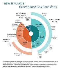 What Do You Call A Farting Cow New Zealand S Single Leading Cause Of Greenhouse Gases Greenhouse Gases Greenhouse Gas Emissions Gas