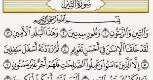 Surat At Tin Tulisan Membaca Teks
