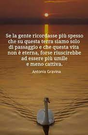 pin su frasi di antonia gravina diffidate dalle copiature dei mitomani