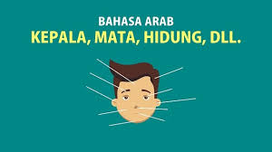 Sekarang kamu sudah tahu apa bahasa arabnya ucapan selamat baik itu selamat pagi, selamat siang, selamat sore, selamat malam dan selamat datang serta jawabannya. Kosakata Bahasa Arab Di Kepala Mata Hidung Mulut Telinga Rambut Dll