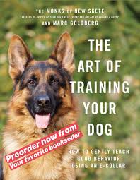 We offer multiple puppy classes each week including puppy playtime, puppy enrichment, urban pooch puppy fundamentals, junior dog and puppy agility! Dog Training And Doggy Boot Camp With Marc Goldberg