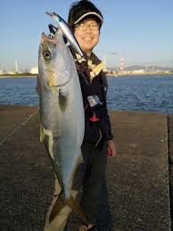 四日市 沖堤防 霞一文字 青物やタチウオが狙えます 釣具のイシグロ 釣り情報サイト