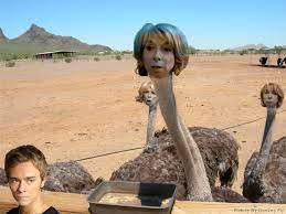 I look like your boyfriend. Gail Platt Looks Like A Feckin Ostrich Photos Facebook