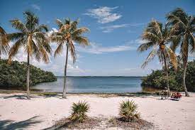 Looking for exclusive deals on key largo hotels? Best Key Largo Beaches Beaches You Don T Want To Miss On Your Trip