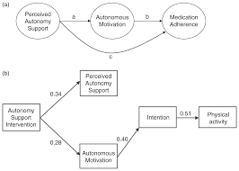 Click again to see term 👆. Theory And Behavior Change Part I The Handbook Of Behavior Change