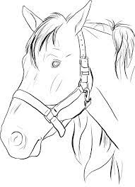 Coloring picture of a horse golfpachuca com. Head Of Horse Coloring Page Horse Coloring Pages Horse Coloring Animal Coloring Pages