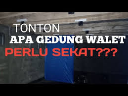 Check spelling or type a new query. Apa Gedung Walet Perlu Sekat Tonton Part1 Youtube