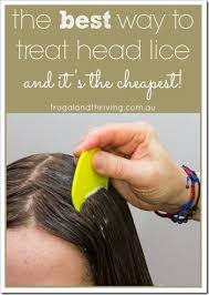 A Natural Lice Treatment That Is Effective And Frugal Saving Money Tips Home Lice Remedies Natural Lice Treatment Lice Removal